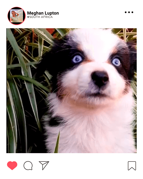 1st for Women post 3