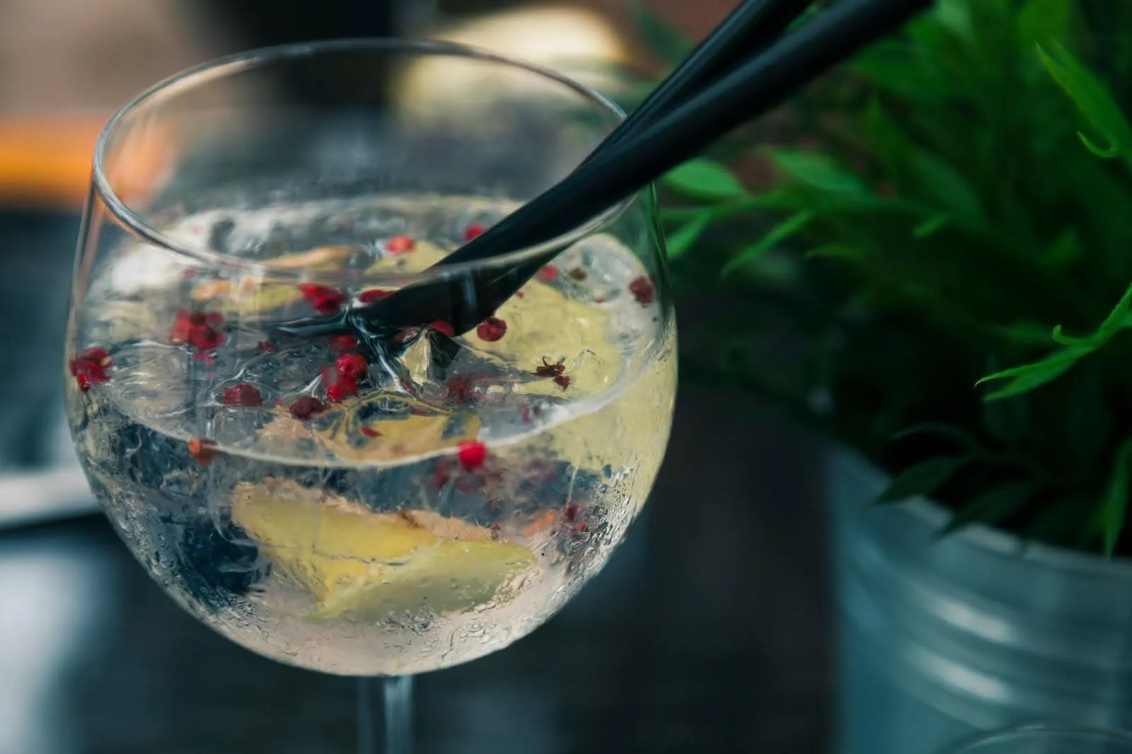 Ginologist | theSalt case study